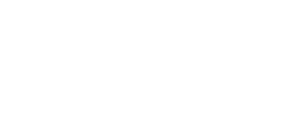 NettlLogoWhite